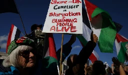 Pro-Palestine protesters shut down London's Tower Bridge