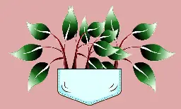 Pocket Forests Are Coming to Town