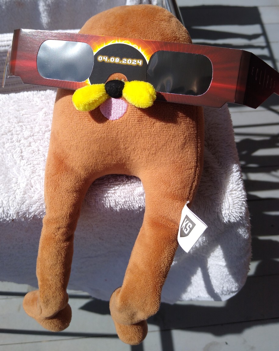 Gondola plush wearing solar eclipse glasses looking at the sun, he is sitting on a piece of fabric or a towel of some sort, on a table.