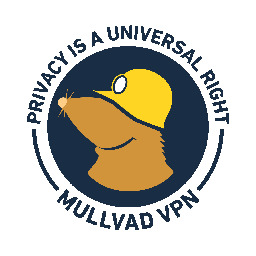 We have successfully completed our migration to RAM-only VPN infrastructure - Blog | Mullvad VPN