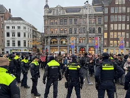 Amsterdam police arrest pro-Palestine demonstrators for defying protest ban