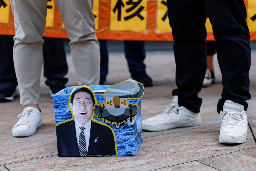 Japan tells citizens in China to lie low after Fukushima release