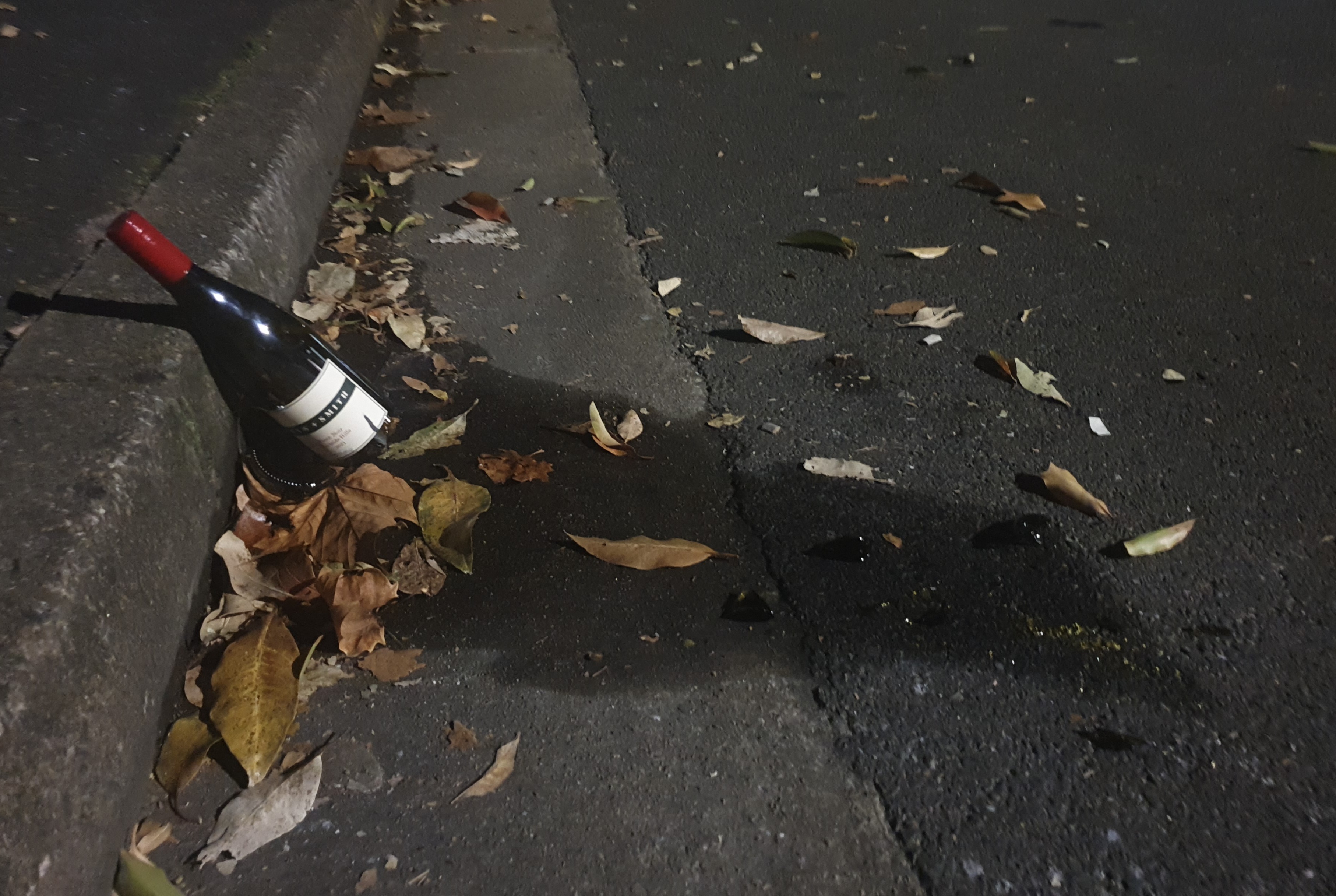 An unopened bottle of red wine resting broken against a gutter filled with leaves. It's dark and the street light reflects off the scattered shards of glass which were once the base of the bottle. The spilled pinot noir stains the road and trickles off into the mouth of a distant storm water drain.