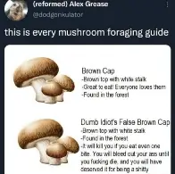 Mushroom Guides