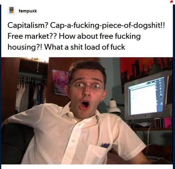 AVGN: Capitalism? Cap-a-fucking-piece-of-dog-shit!! Free market?? How about free fucking housing?! What a shit load of fuck