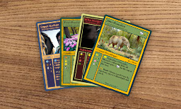 Get Your Own Fediverse Trading Cards!