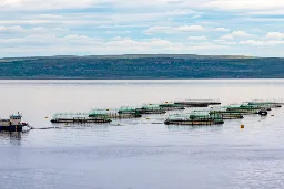 Norwegian salmon farms gobble up fish that could feed millions in Africa: Report