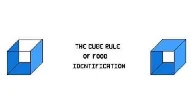 The Cube Rule of Food Identification