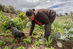 Mujeres de Ecuador restauran un ecosistema frágil ante la crisis climática