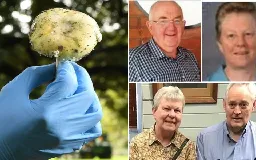 Mushroom experts to help identify toxin in fatal dinner