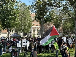 LAPD fires riot munitions, makes mass arrests at USC pro-Palestine protest