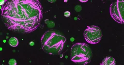UNC-Chapel Hill researchers create artificial cells that act like living cells - UNC Research