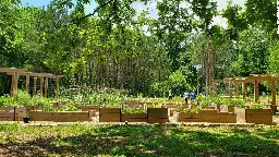 Atlanta creates the nation's largest free food forest with hopes of addressing food insecurity | CNN