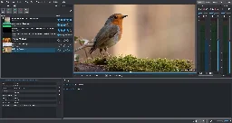 Kdenlive: App Reviews, Features, Pricing & Download | AlternativeTo